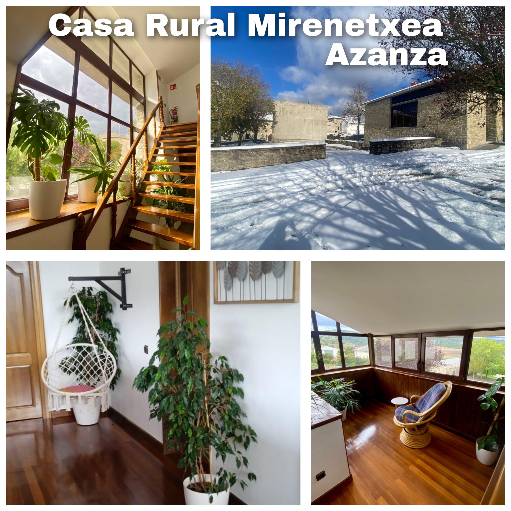 Nuevo Comercio Colaborador Con SARAY